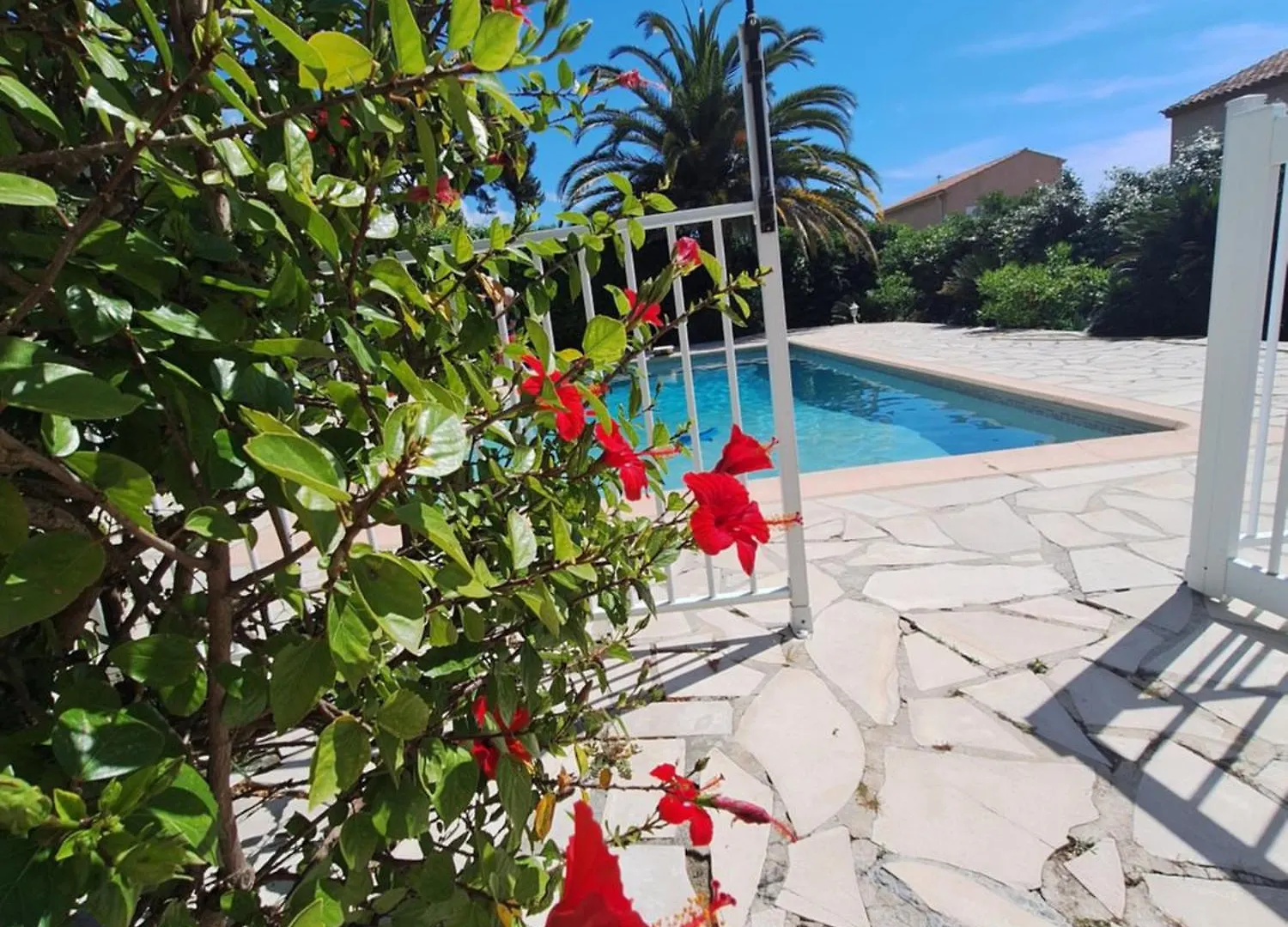 Appartement Rez De Villa Terrasse Piscine Hyères 0*,